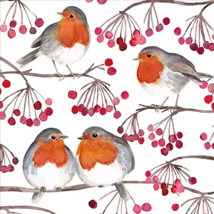 Szalvéta Birds