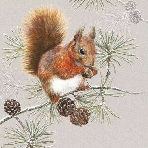 Szalvéta karácsonyi 25x25cm Squirrel In Winter 20db-os