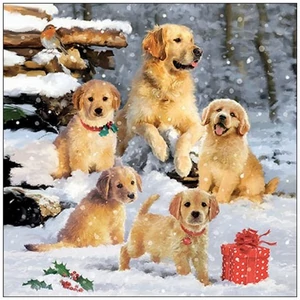 Szalvéta Ambiante Golden retriever puppiees papírszalvéta 25x25cm,15db-os