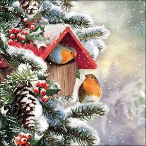 Szalvéta Ambiante House with robins papírszalvéta 25x25cm,15db-os