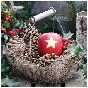 Szalvéta Ambiante Star apple papírszalvéta 33x33cm,20db-os