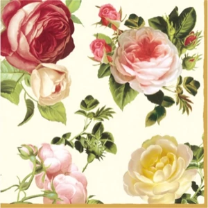 Szalvéta Paw 33x33cm Rosalia papírszalvéta 33x33cm,20db-os
