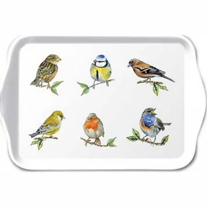 Tálca Ambiante kicsi Bird species white műanyag kistálca 13x21cm