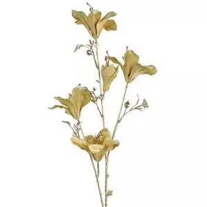 Selyemvirág művirág tavaszi de Bauhinia S yellow