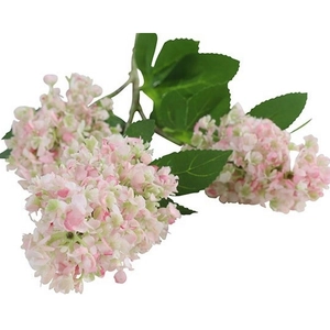 Selyemvirág művirág tavaszi de Fatsia japonica pink