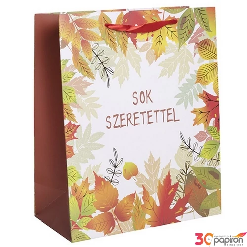 Ajándéktasak 26x32cm ,faleveles Sok szeretettel feliratt 370288