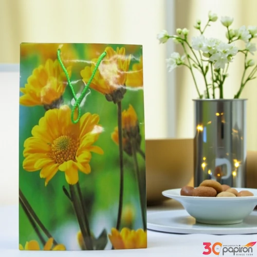 Ajándéktasak óriás Cardex 330x150x445