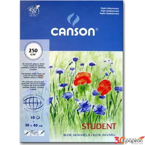 Akvarell blokk A4 Canson 250g/m2 10ív iskolai Akvarell iskolaszezonos termék