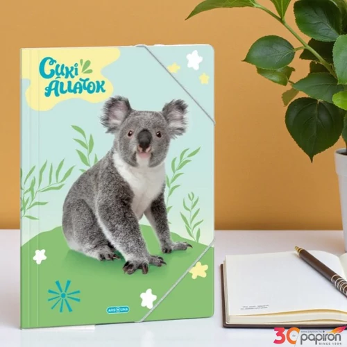 Ars Una Gumis mappa A4 24' Cuki-Koala 50214280 350gr vastag kartonból