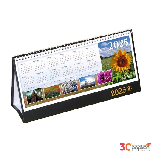 Asztali naptár 1 álló 2025 Csízió fekete napi motivációval 53 lapos-méret: 310x160 mm