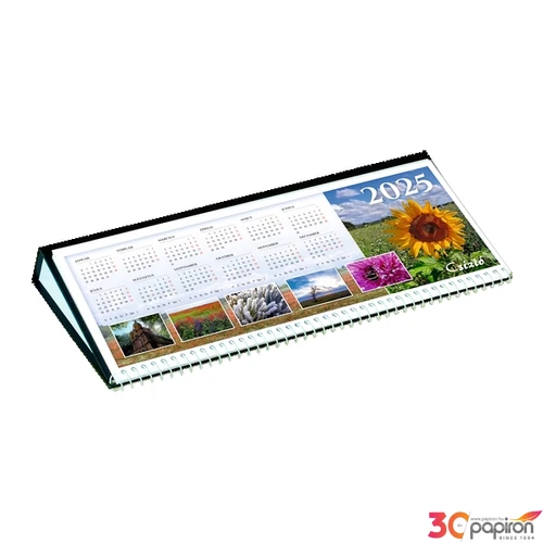 Asztali naptár fekvő 2025 Csízió fekete napi motivációval 53 lapos-méret: 310x160 mm