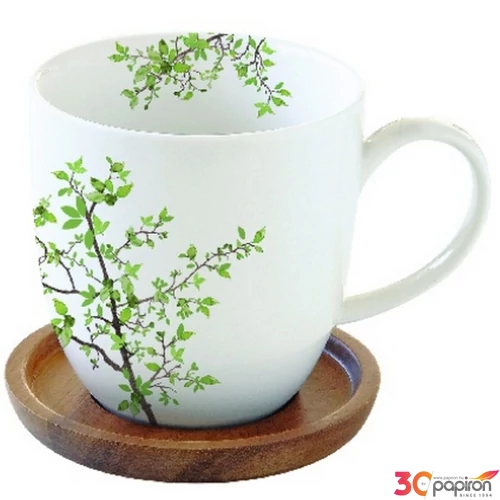 Bögre porcelán 3,5dl akácfa alátéttel, Natura dobozban