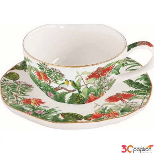 Csésze+alj teás Porcelán 2,5dl Exotica dobozban