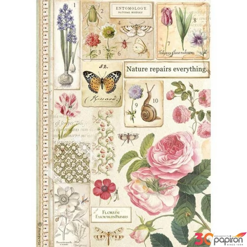 Decoupage rizspapír A4 Botanika DFSA4623