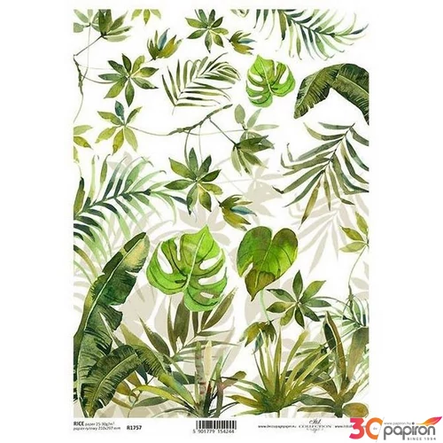 Decoupage rizspapír A4 ITD-R1757, zöld levél mintás
