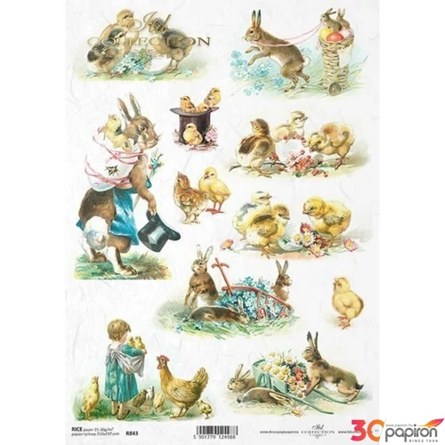 Decoupage rizspapír A4 ITD-R0843
