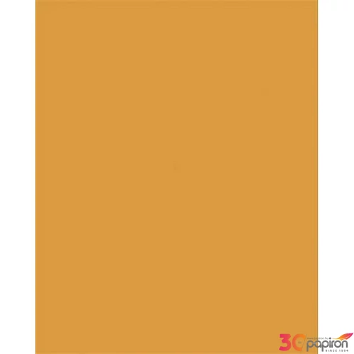 Dekorkarton 2 oldalas 50x70cm 220 g 10lap FOLIA okkersárgalap FOLIA ok