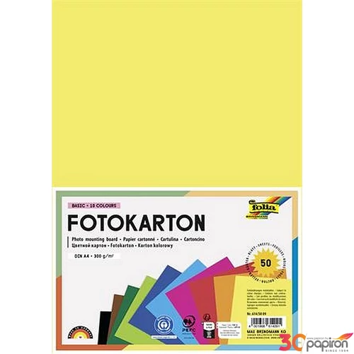 Dekorkarton 2 oldalas A4 300 g 10x5 lap FOLIA vegyes színekFOLIA FOLIA vegyes színek