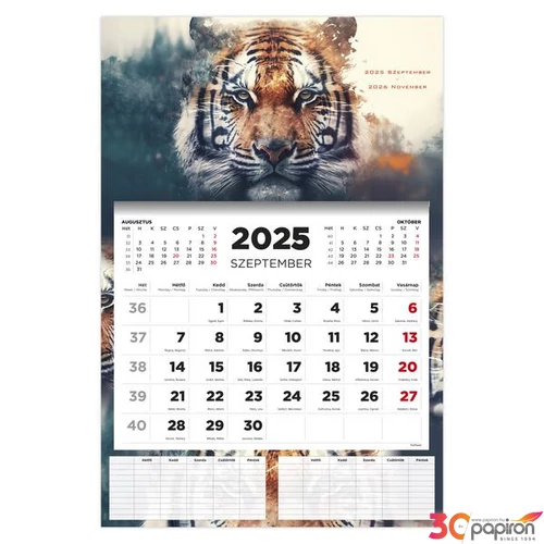 Diák Falinaptár 25 D076 Tiger 16 Havi TopTimer naptár kollekció 26D7620-000