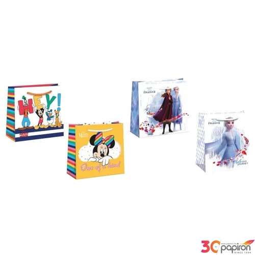 Ajándéktasak ARGUS Mickey, Minnie,Frozen vegyes minta DT2 (16x16x7,5) 7726-0690