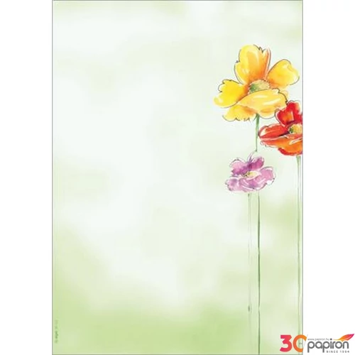 Előnyomott papír A4 90g, SIGEL "Spring Flowers