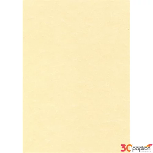 Előnyomott papír A4 95 g, pergamen hatású, APLI, pezsgő