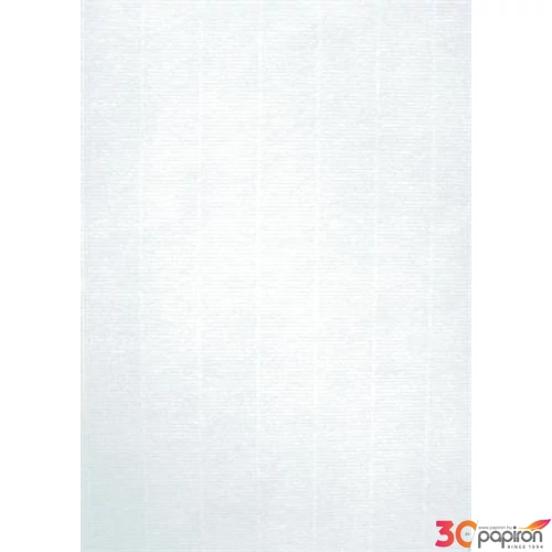 Előnyomott papír A4 Apli törtfehér 200gr Ref.12130 20db/csomag