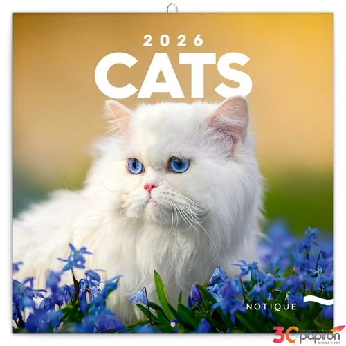 Falinaptár 2026 Cats lemeznaptár 30×30cm Realsystem 2026 kollekció!