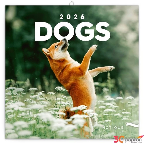 Falinaptár 2026 Dogs lemeznaptár 30×30cm Realsystem 2026 kollekció!