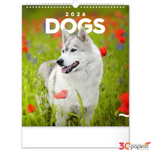 Falinaptár 2026 Dogs 6087-DO spirálos 30×34cm Realsystem 2026 kollekció!