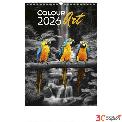 Falinaptár 2026 T092 Colour Art Toptimer 2026 kollekció!
