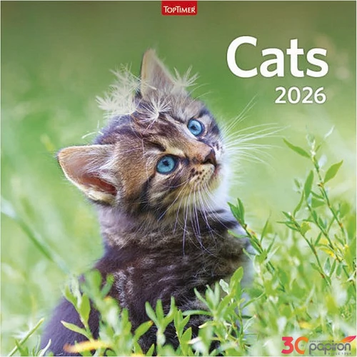 Falinaptár 2026 T098 Cats Toptimer 2026 kollekció!