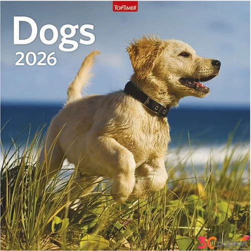 Falinaptár 2026 T098 Dogs Toptimer 2026 kollekció!
