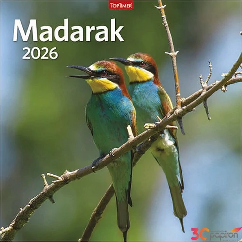 Falinaptár 2026 T098 Madarak Toptimer 2026 kollekció!