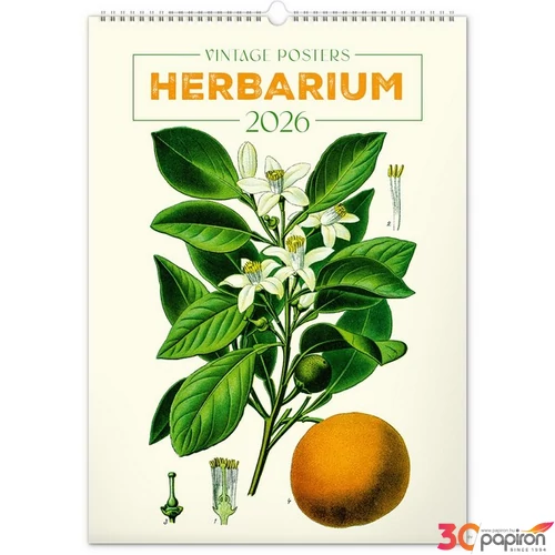 Falinaptár Vintage Posters – H spirálos 33 × 46 cm Realsystem 2026 kollekció!