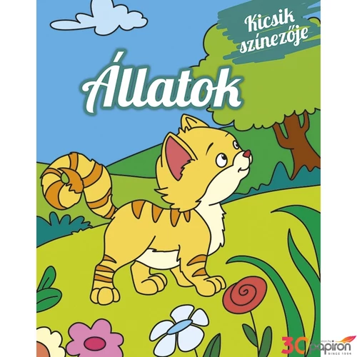 Foglalkoztató füzet kifestő Kicsik színezője - Állatok Napraforgó könyvek