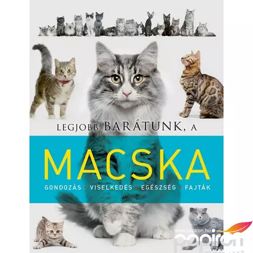 Foglalkoztató könyv cicás Legjobb barátunk, a macska Napraforgó könyvek