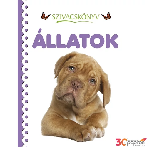 Foglalkoztató könyv Szivacskönyv-Állatok Napraforgó könyvek