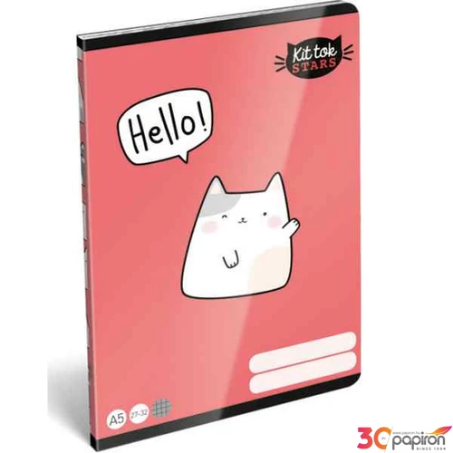 Füzet 27-32 A5 kockás Lizzy Lollipop Kittok Catto Lizzy kollekció