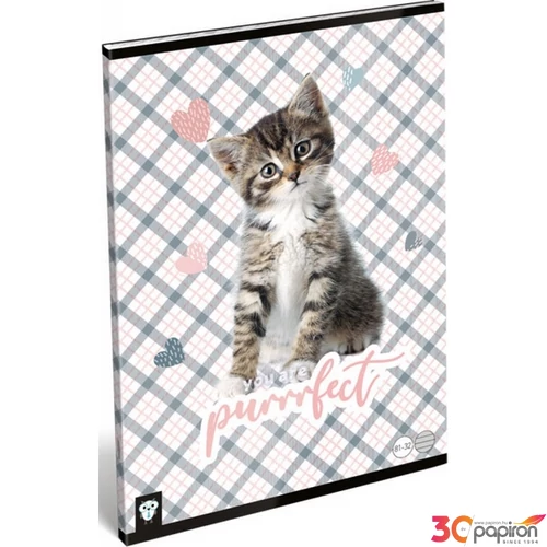 Füzet 81-32 A4 vonalas Lizzy Kis Bagoly Purrrfect Lizzy kollekció