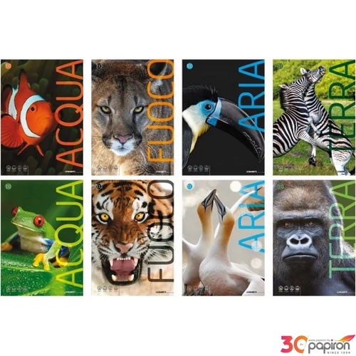Füzet A4 Blasetti kockás 100G 38Lap Animali100 7861