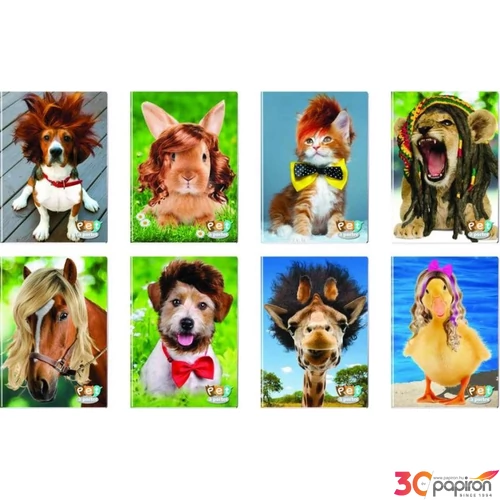 Füzet A4 Blasetti kockás Pet a Porter 80g 42lapos 6325 5M