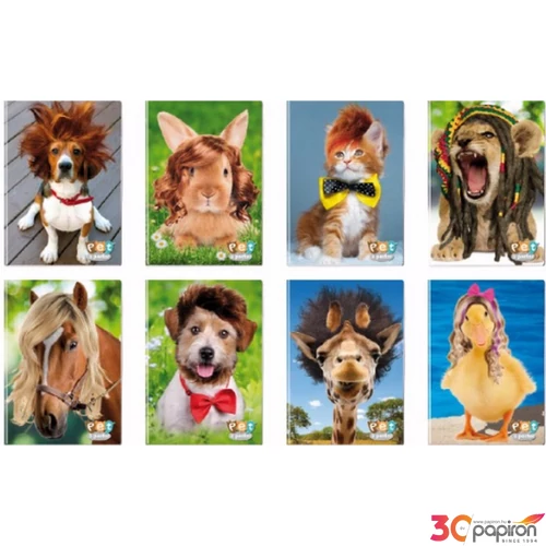 Füzet A4 Blasetti Pet aPorter 80g 42lapos vonalas 6328 1RC
