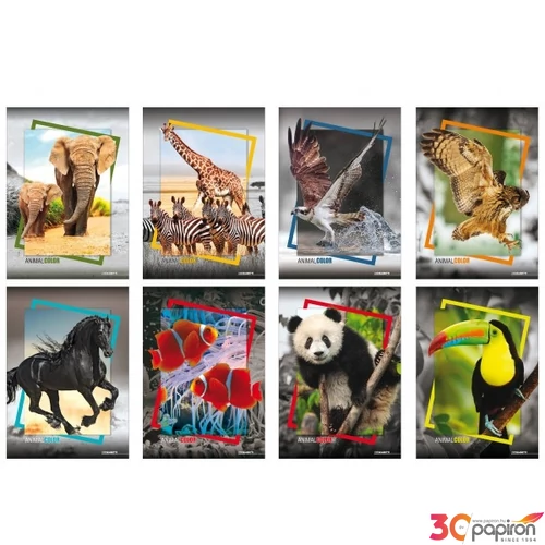 Füzet A4 Blasetti vonalas 80g 42 lapos Animal Frame Keményfedeles