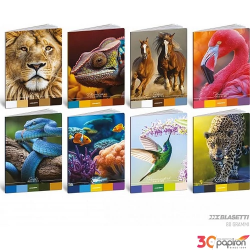 Füzet A4 Blasetti vonalas 80g 42 lapos Animal Planette 8950