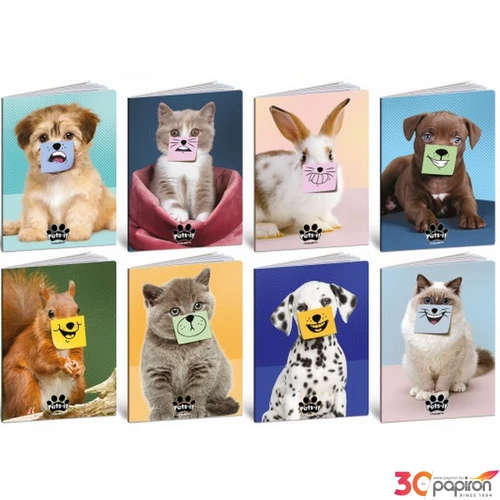 Füzet A4 Blasetti vonalas PETS-IT 42 lap 8931