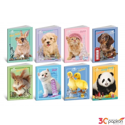 Füzet A4 kockás Blasetti 80g 42lap CITY PET 
