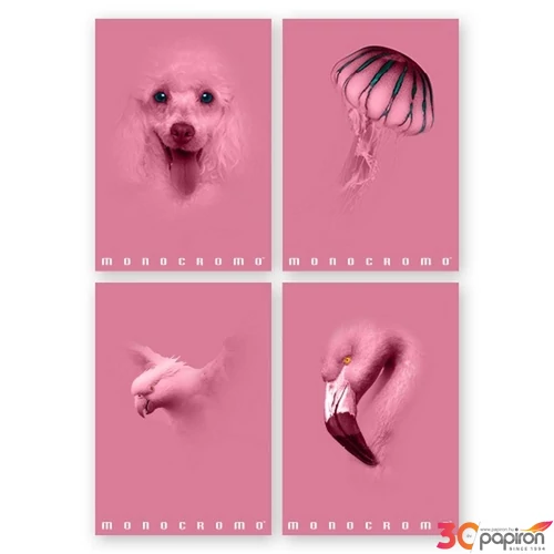 Füzet A/4 Pigna Monocromo Pink 50 lapos vonalas 