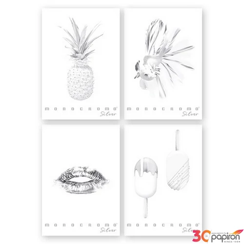 Füzet A/4 Pigna Monocromo Silver  vonalas 38 Lapos 02330571R