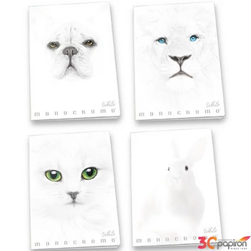 Füzet A/4 Pigna Monocromo White vonalas 